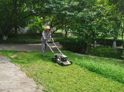 草坪修剪|陕西嘉润园林