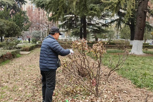 陕西嘉润园林