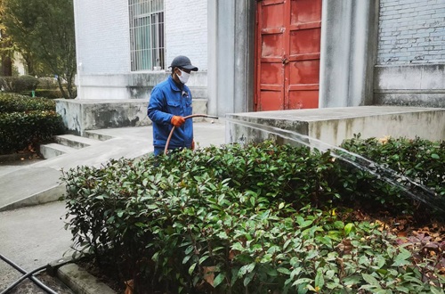 草坪冬季可以浇水吗