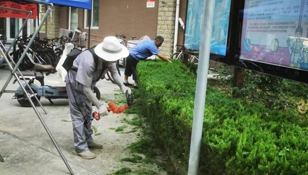 绿篱的修剪技术