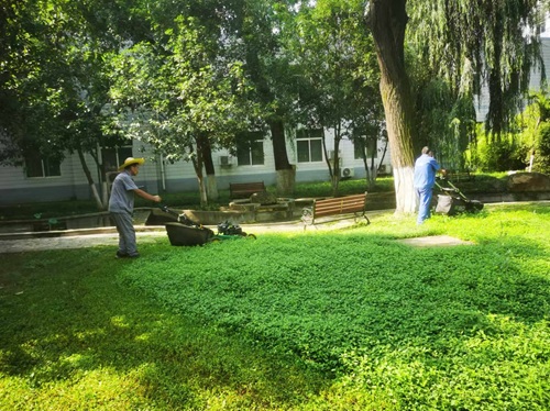 不同园林植物,秋季修剪时的修剪方法各有不同,你修剪对了么?