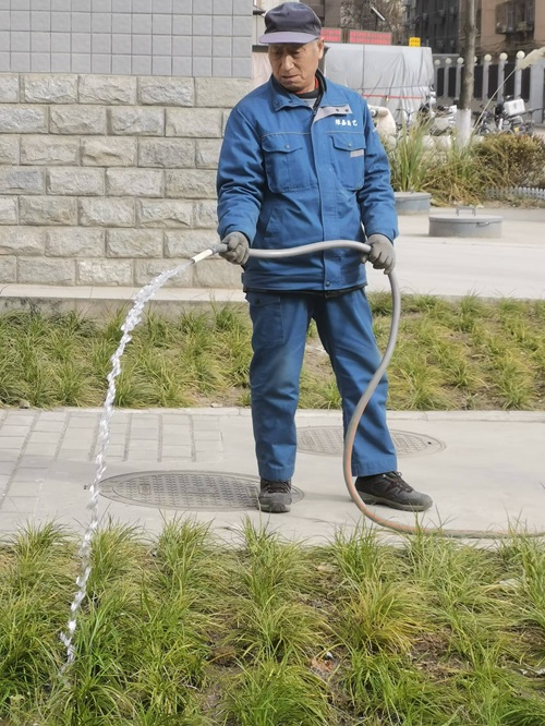 树木冬季怎样养护