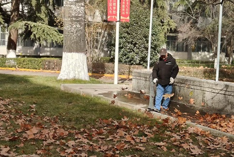 三月园林养护要点