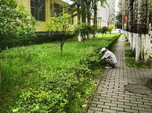 陕西嘉润园林