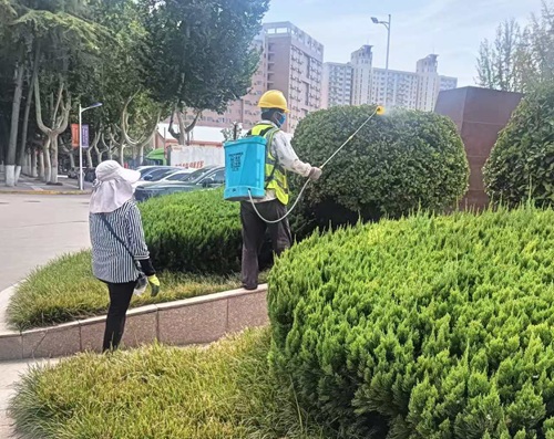 园林农药使用注意事项-园林杀虫剂杀菌剂除草剂正确使用方法--提高园林农药效果的几点建议